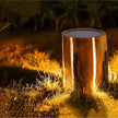 Tenebris Wood LED Table Lamp