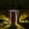 Tenebris Wood LED Table Lamp