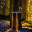 Tenebris Wood LED Table Lamp